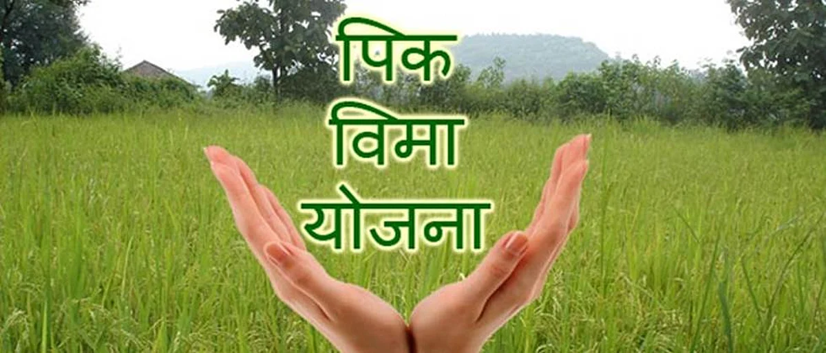 Crop Insurance