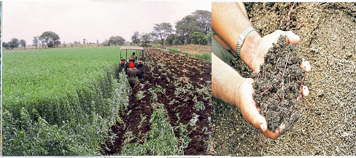 Soil Health
