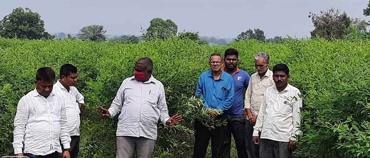 सुधारित तंत्राद्वारे बदलला गावचा चेहरामोहरा