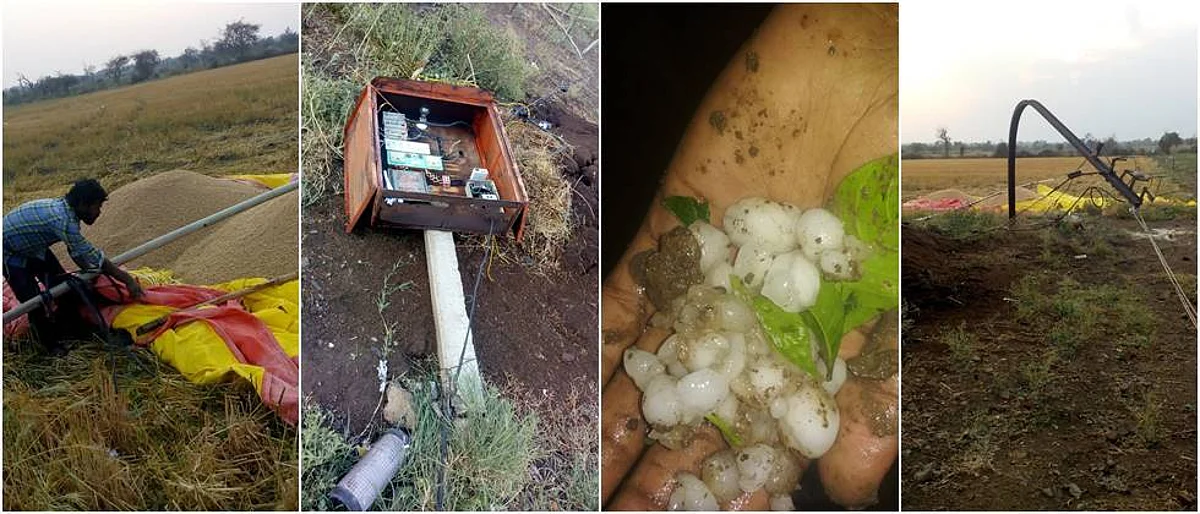 विदर्भात अवकाळी पाऊस; गारपीट व वादळाचे थैमान