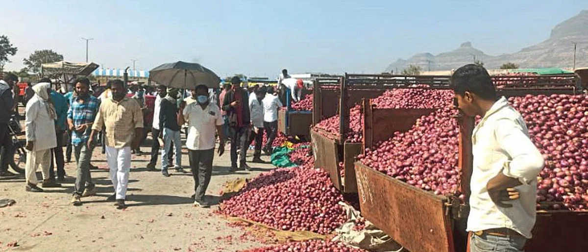 चांदवडमध्ये कांदा लिलाव सुरू