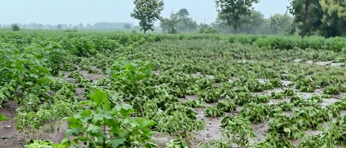 127 villages affected in Parbhani district