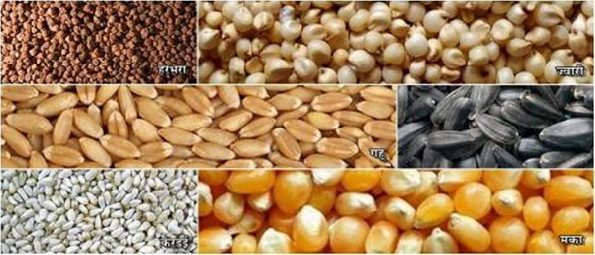 सीड पार्कचा प्रकल्प आराखडा तयार