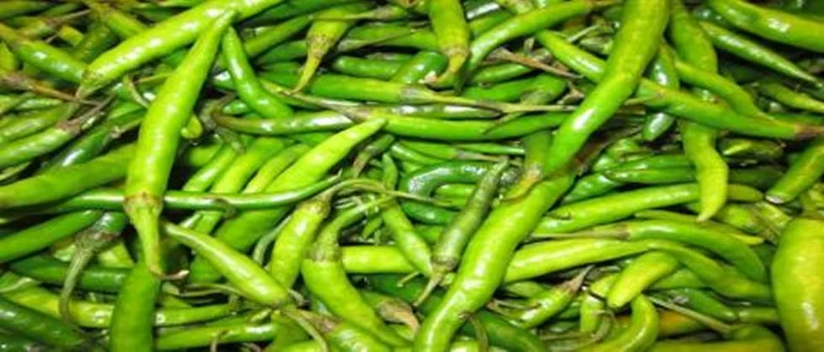 Chilli