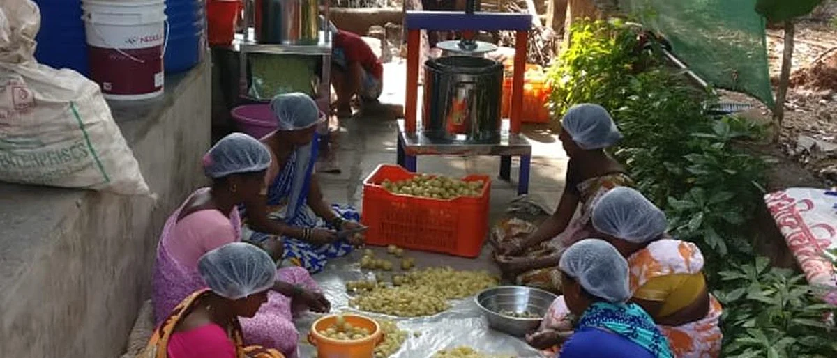 फळबागेला प्रक्रिया उत्पादनांची जोड