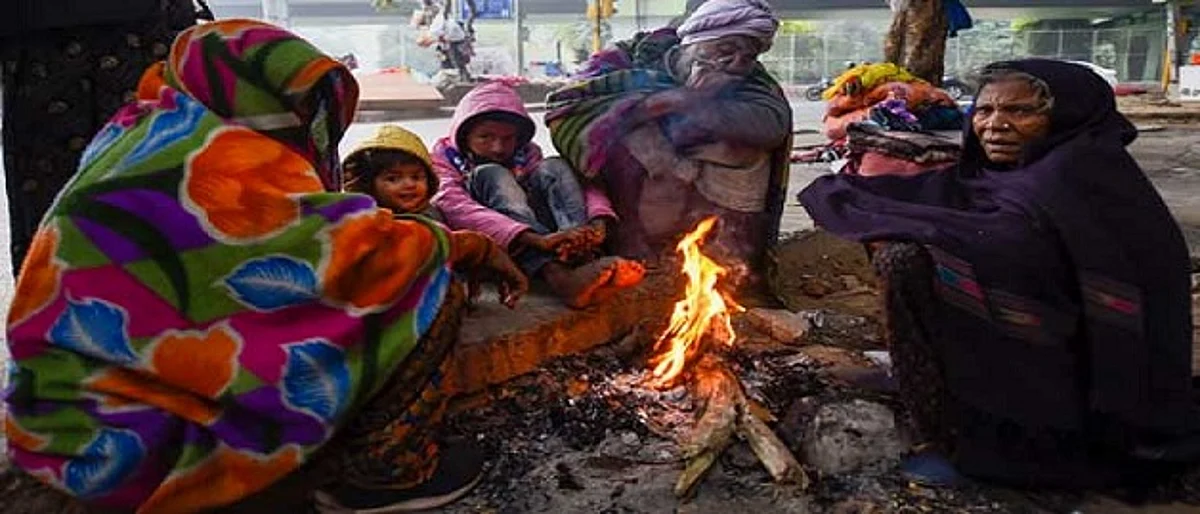 राज्यात थंडीची लाट पसरणार : हवामानशास्त्र विभागाचा इशारा