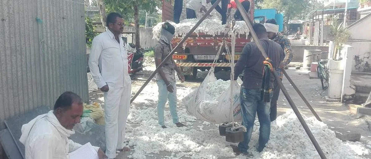 खानदेशात कापसाच्या खेडा खरेदी दरात वाढ