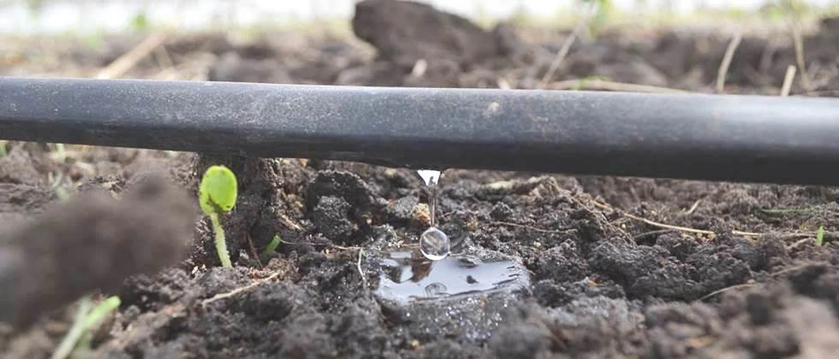 MIcro Irrigation