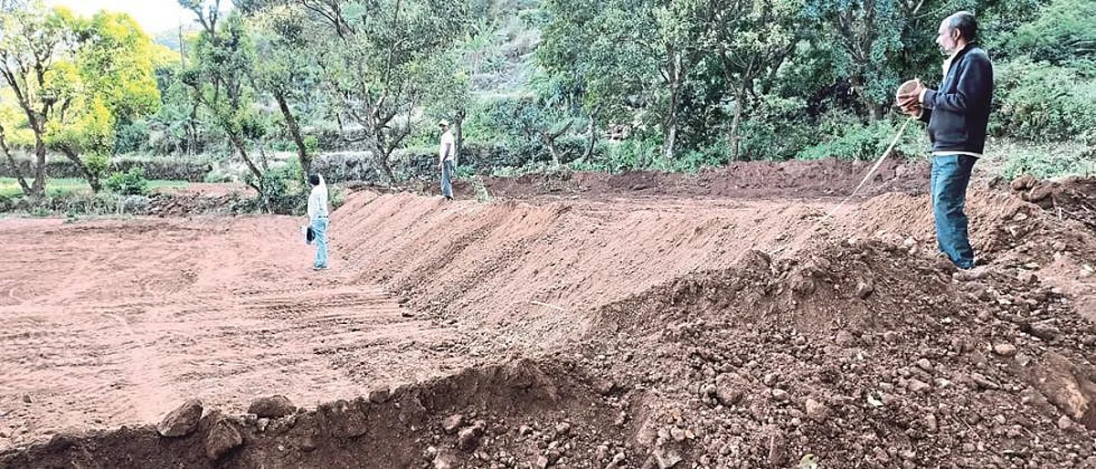 Reconstruction of agriculture started in 113 rain-affected villages of Satara district