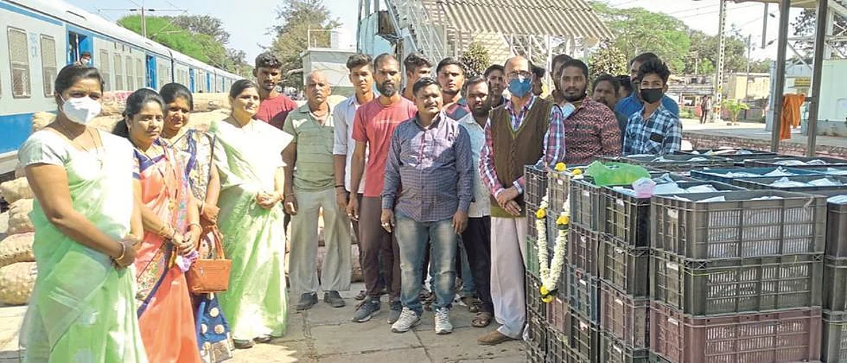Grapes were shipped to Bihar for the first time from Lasalgaon