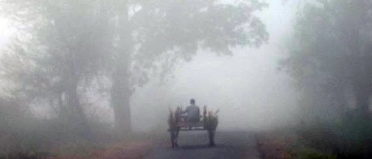 संग्रहित छायाचित्र