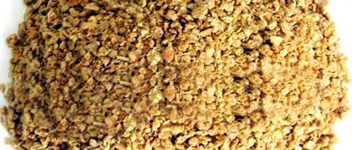 सोयापेंड निर्यात थांबविण्याची मागणी Demand to stop soybean exports