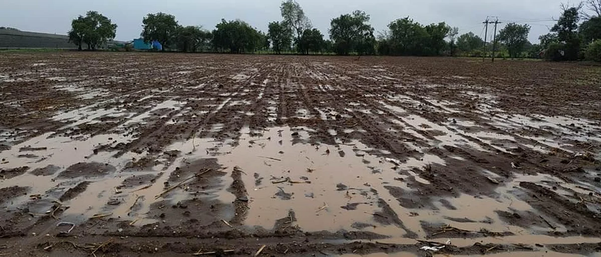 Presence of rains in many parts of Khandesh