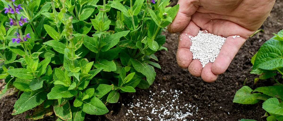 Fertilizer