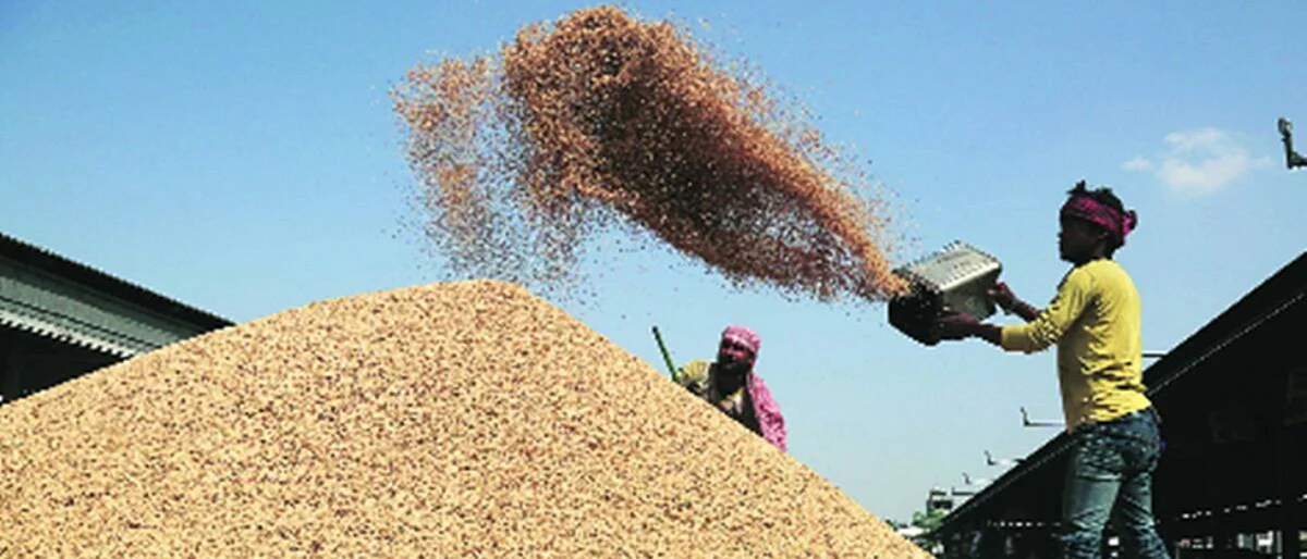 Paddy Procurment