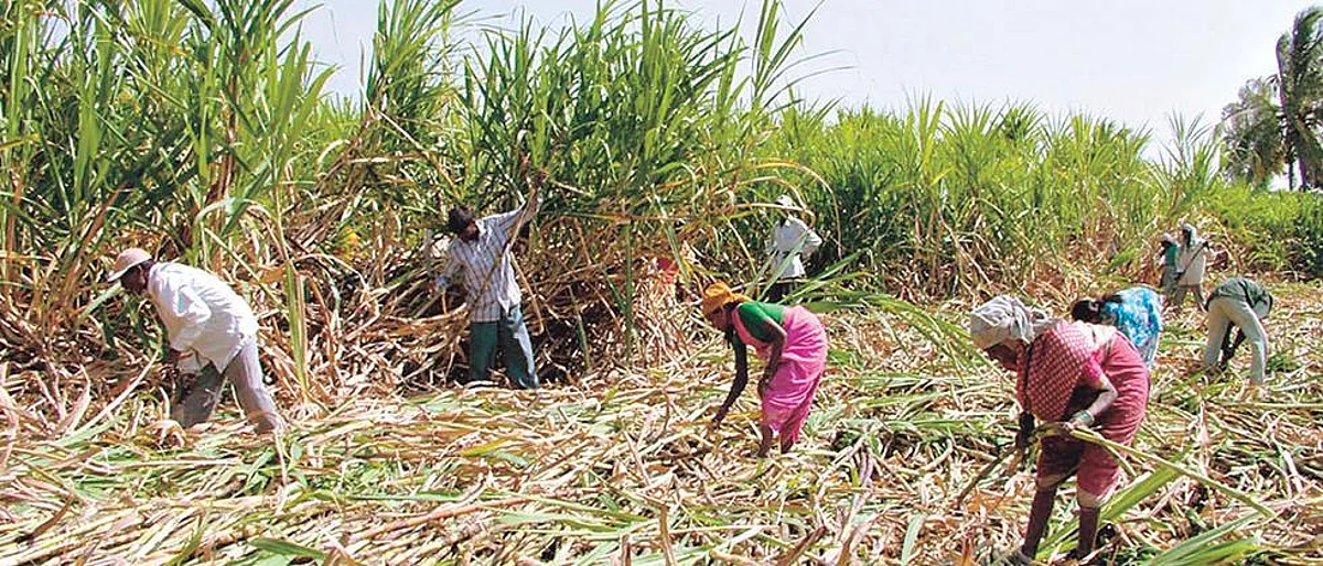 The 'janheet' movement in Mangalvedha is stop