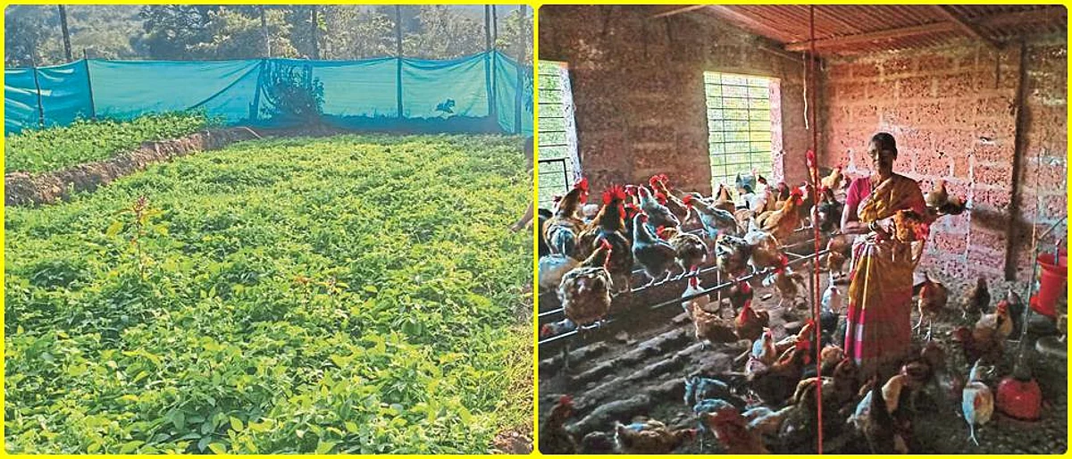 बचत अन् पूरक उद्योगातून आर्थिक स्वयंपूर्णता...