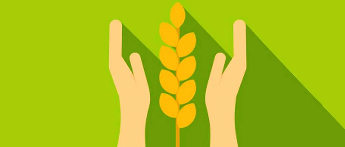 Agriculture Scheme