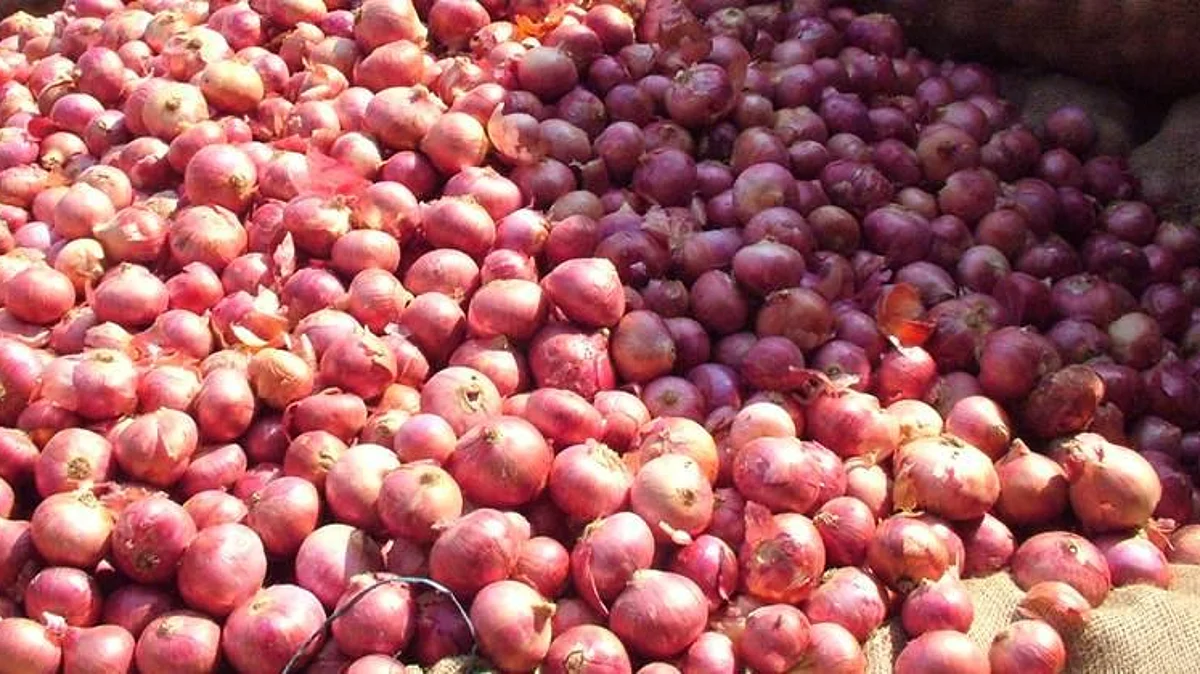 लोणंद बाजारात गरवा कांदा तेजीत