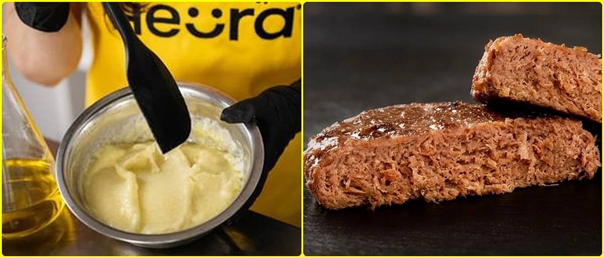 Creating meat analogues with olive oil to boost sector’s health credentials.