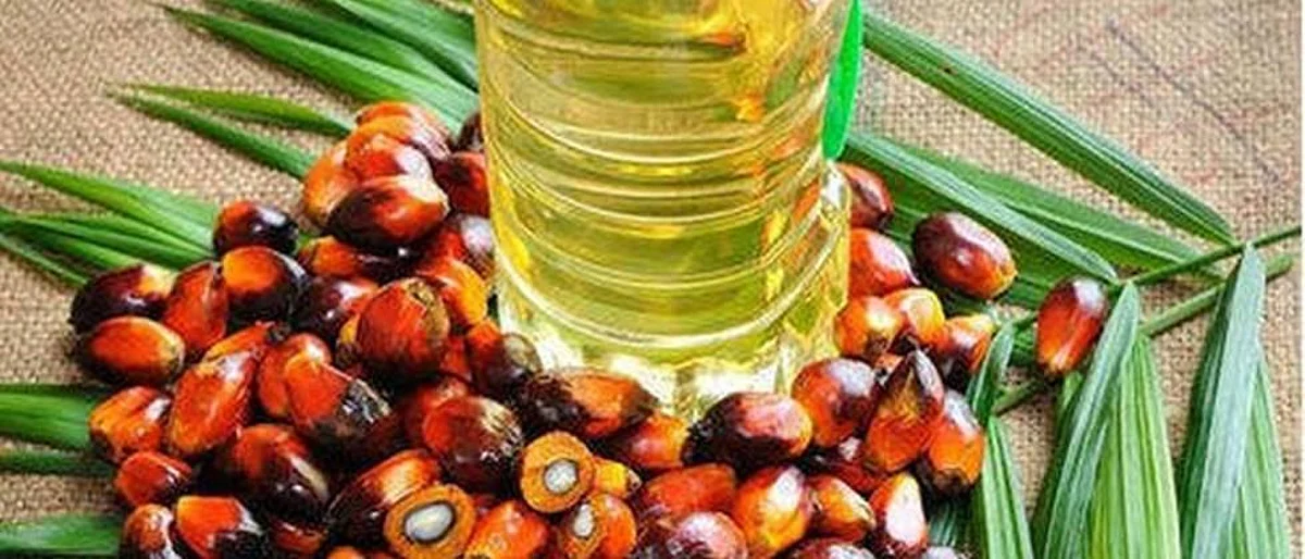 पाम तेल आयातीवर श्रीलंकेचा ‘सर्जिकल स्ट्राइक’