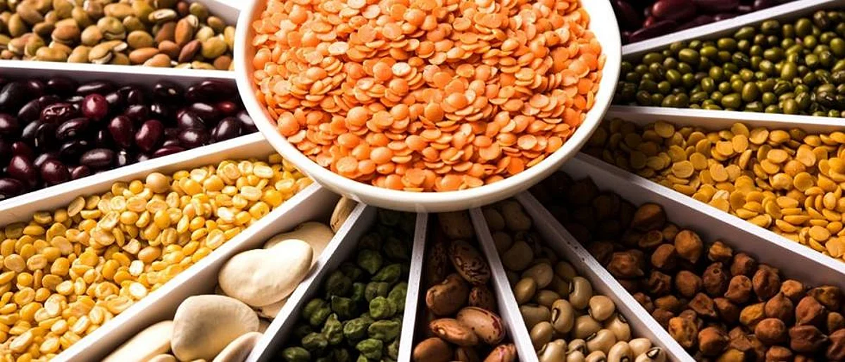 कडधान्याचे गणित पावसावरच अवलंबून