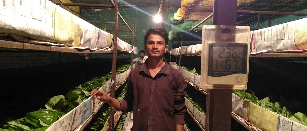 रेशीम शेडमधील तापमान व आर्द्रतामापक
