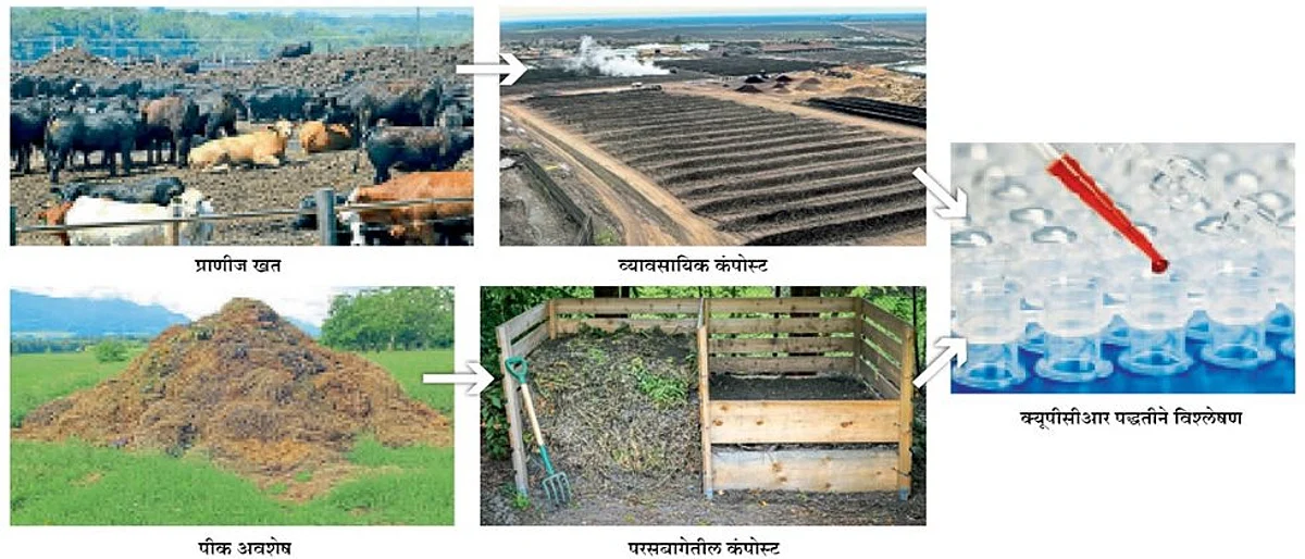 संपूर्ण कुजलेल्या कंपोस्ट खतांचाच वापर ठरतो सुरक्षित