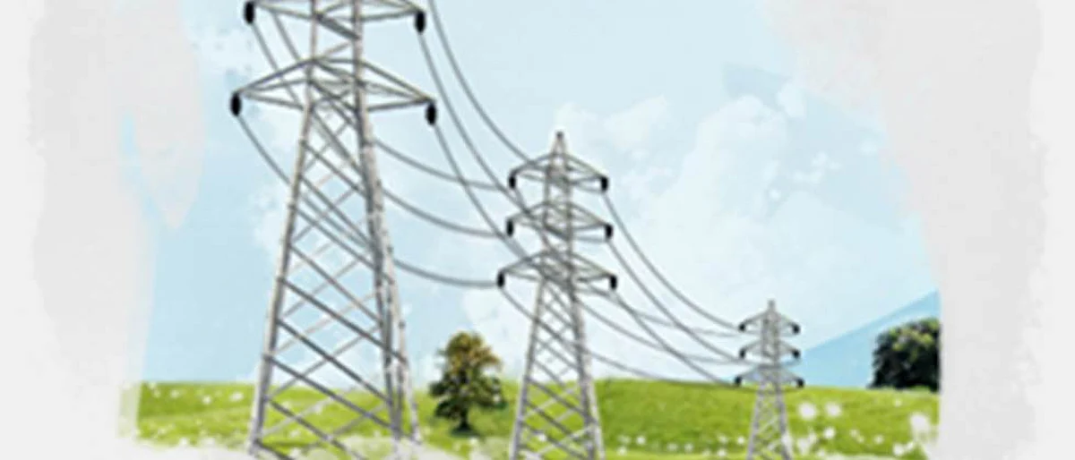 Farmers pay only half the electricity bill: Prajakta Tanpure