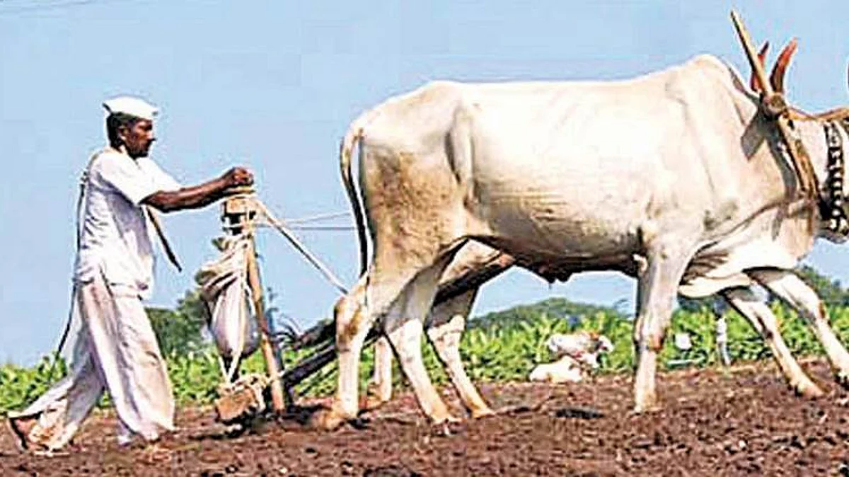 Farmer