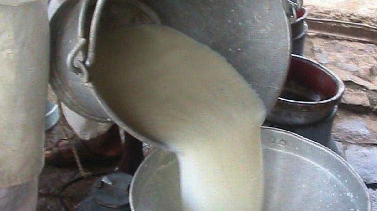 Milk Production