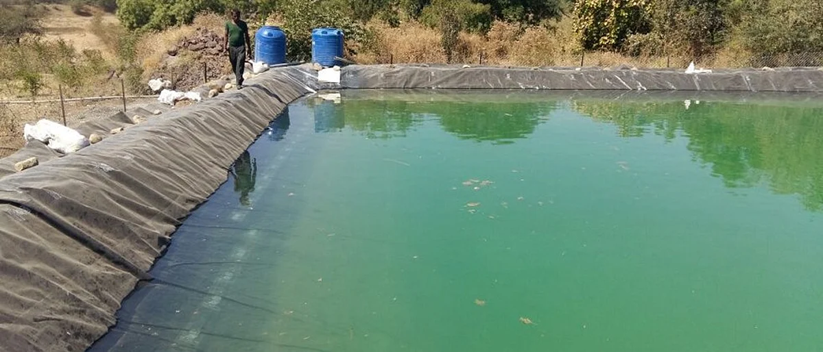 शेततळ्यात कार्प माशांचे व्यवस्थापन