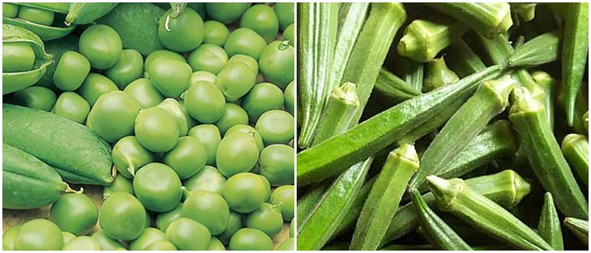 Peas in the city, improvement in the price of okra; Onion market stable