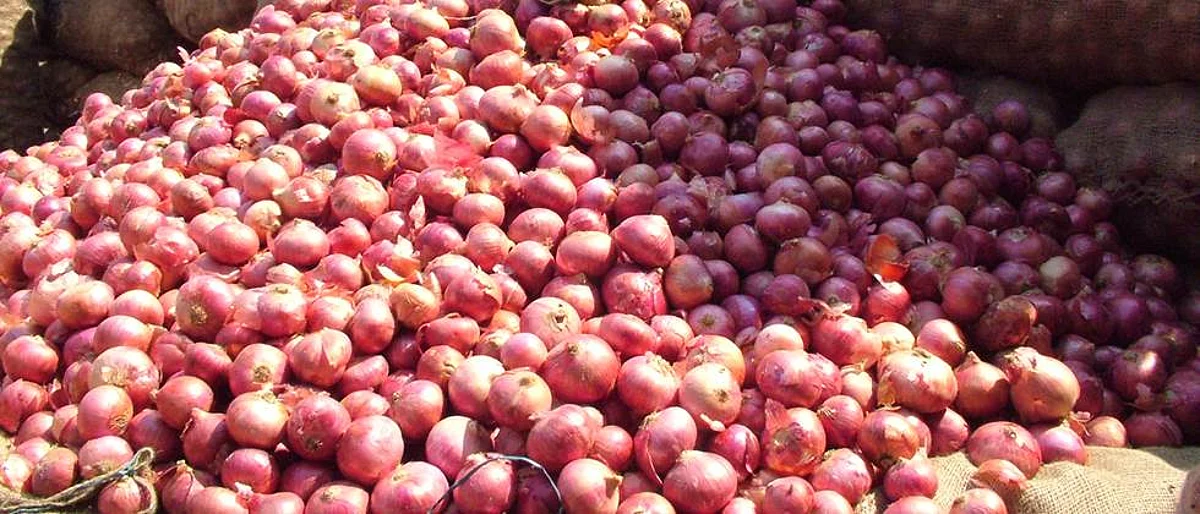 Onion Arrivals