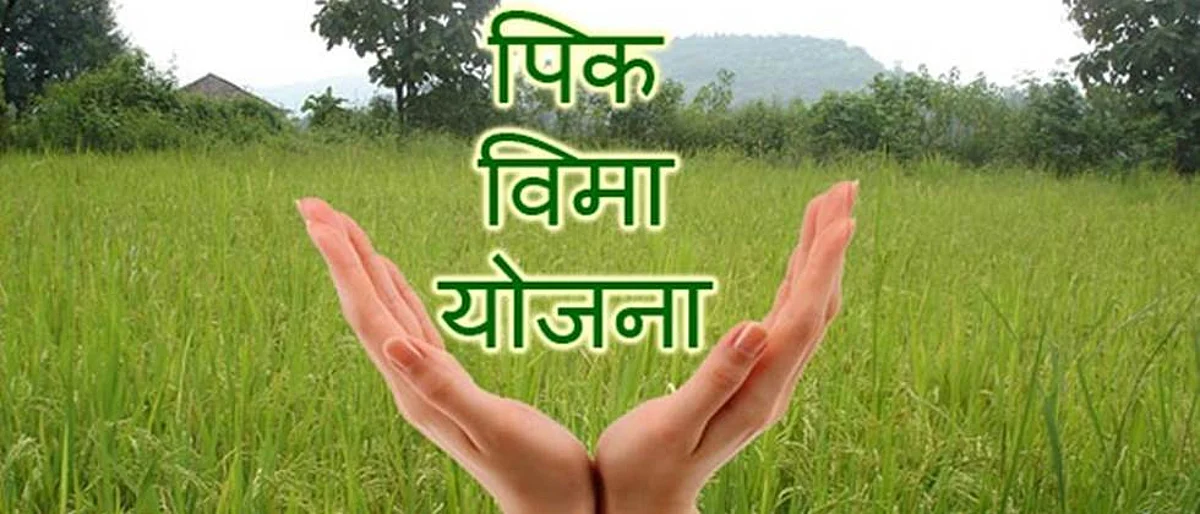 खरीप हंगामातील पीकविम्याचे दोन कोटी पडून