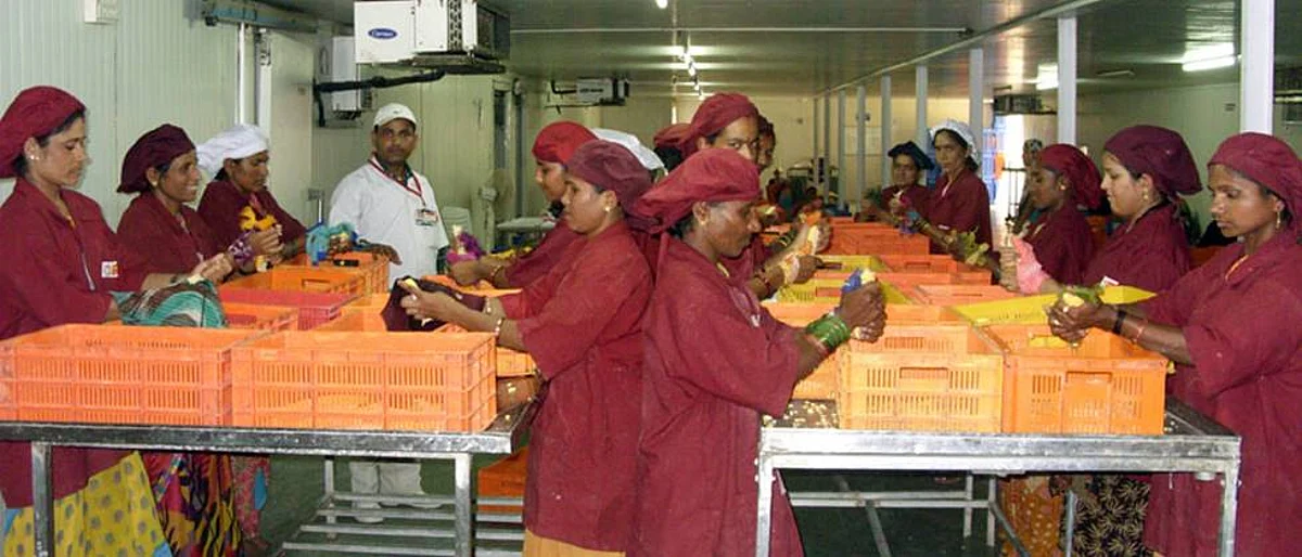 Various schemes of the government are available to the farming companies for setting up of processing industries.
