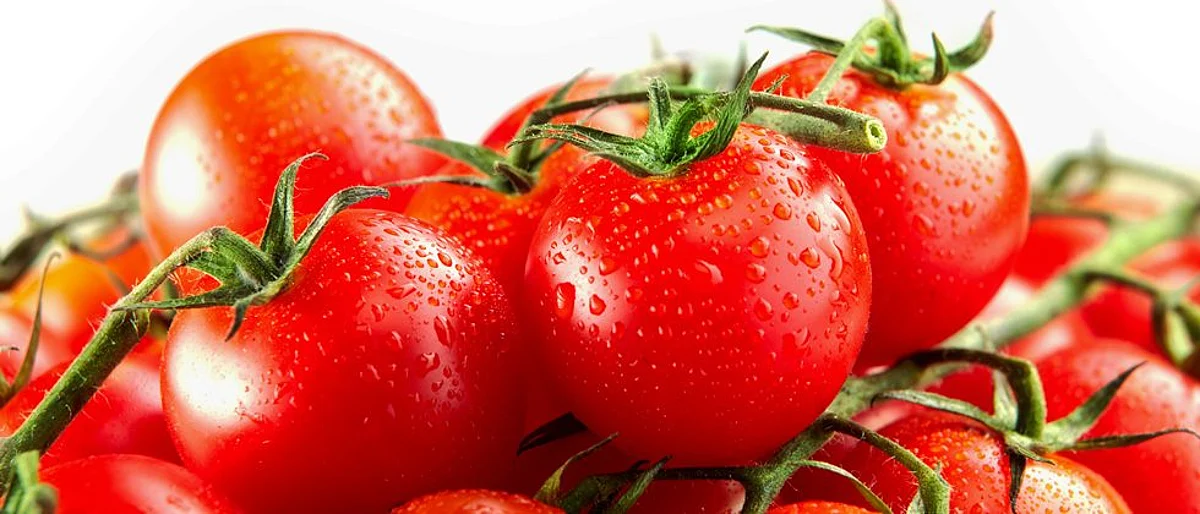 value added products of tomatoes