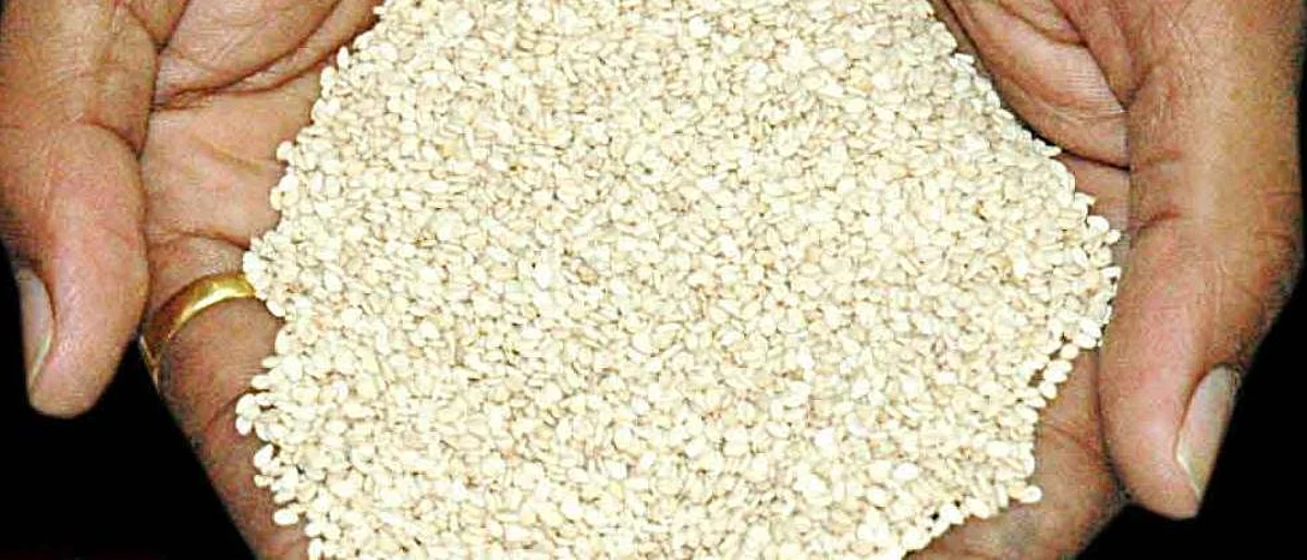Sesame Rate
