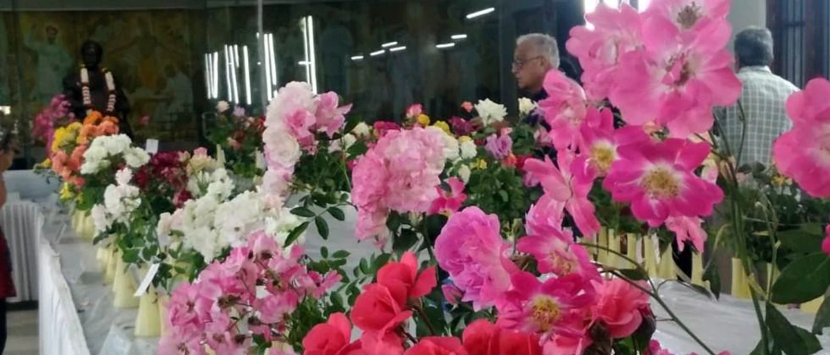 गुलाब प्रदर्शन