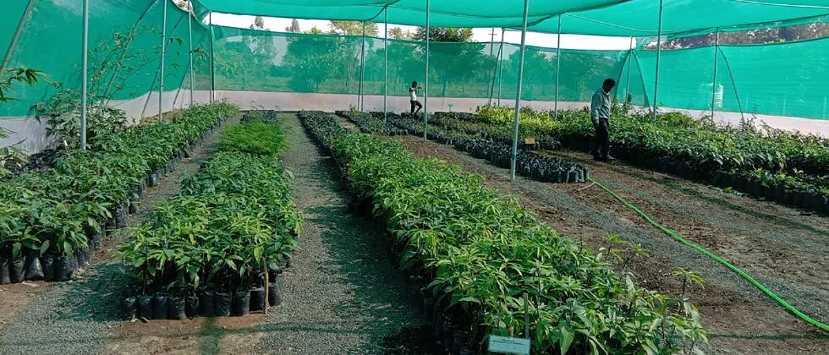 There are educational and vocational opportunities in forestry.