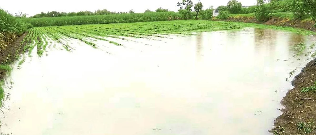 In Barshi taluka, farmers again took to the street