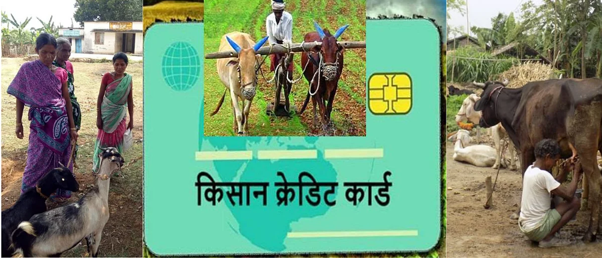 पशुपालकांना मिळणार KCC अंतर्गत पैसे