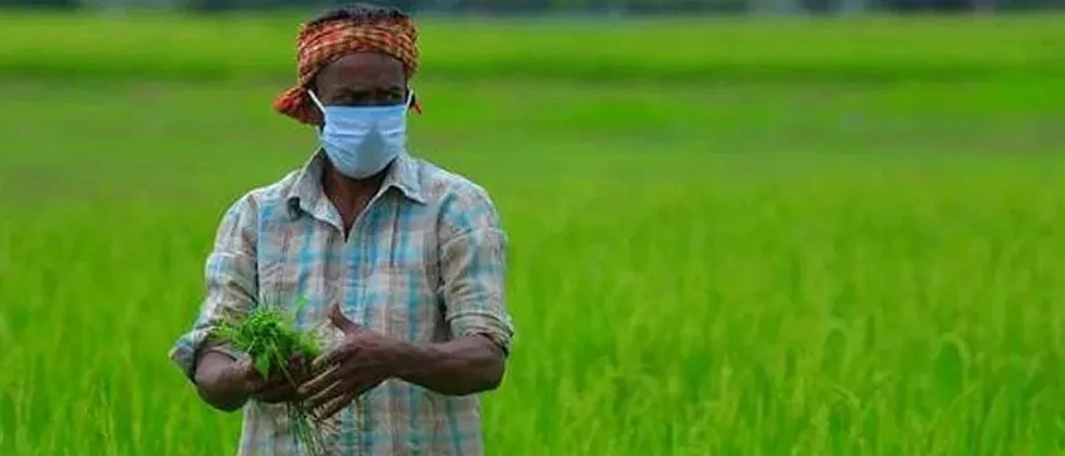 युपी काँग्रेसची घोषणा : कर्जमाफी, गहू-तांदळाची एमएसपी वाढवणार