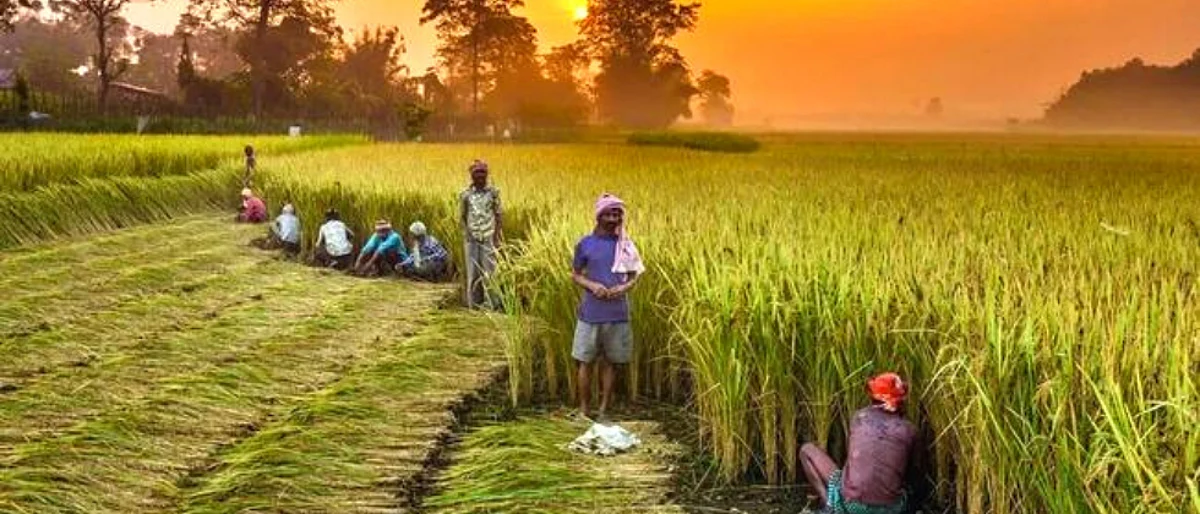 farmers