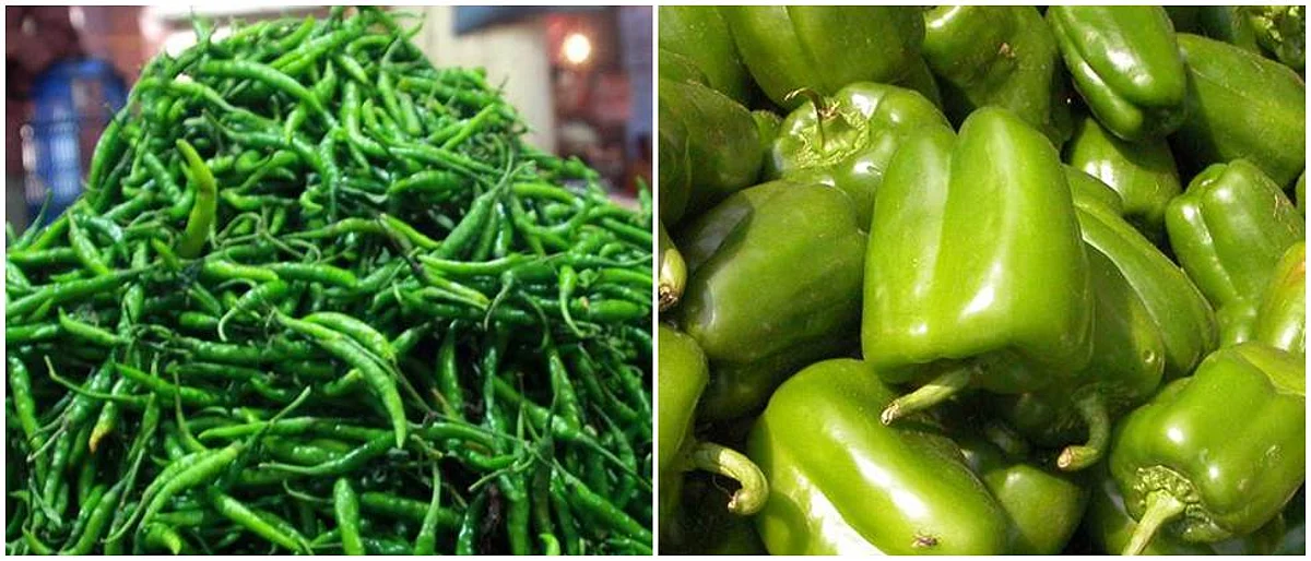 पुण्यात सिमला, हिरवी मिरचीच्या दरात सुधारणा