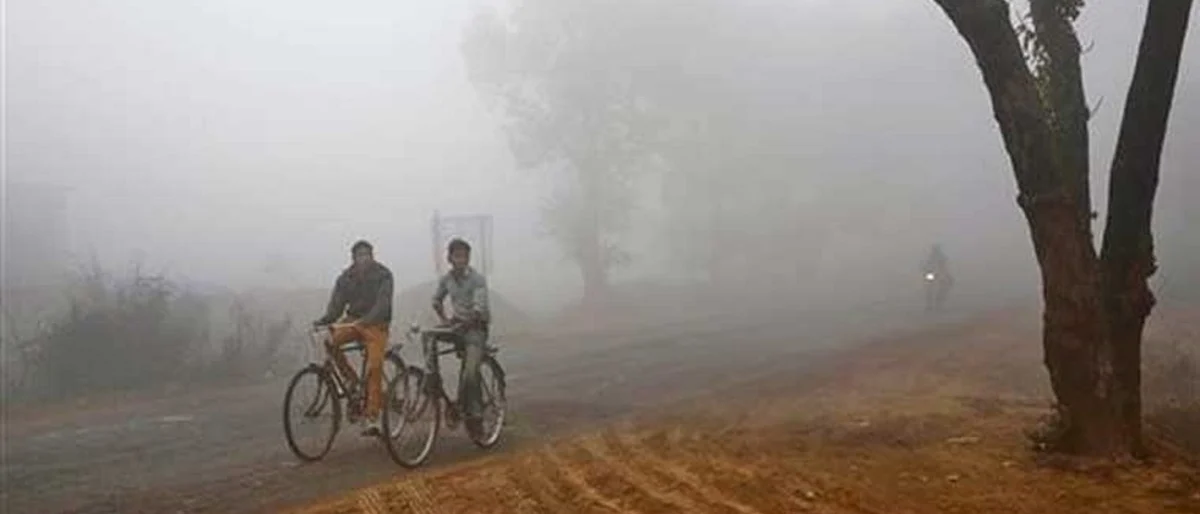 Nashik Winter