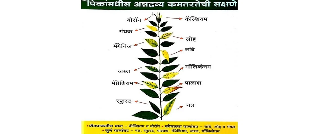 Remedies for nutrient deficiency of crops