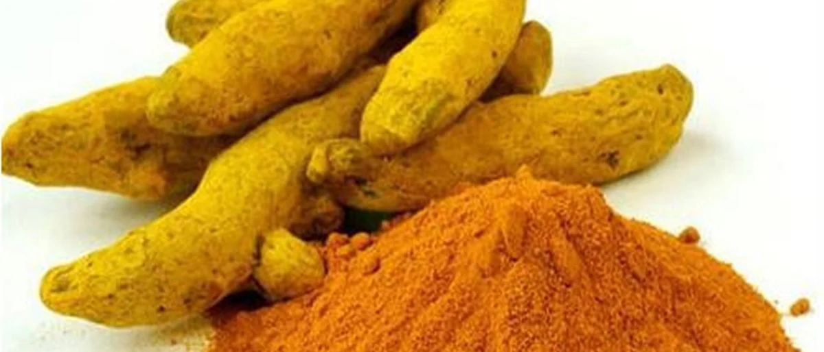 सांगली बाजारात हळदीचे दर स्थिर