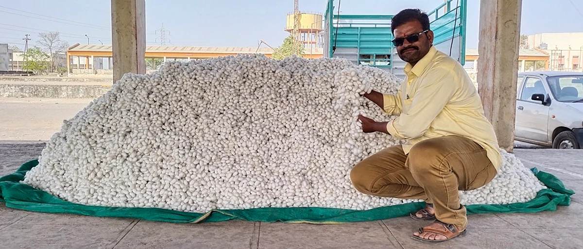 जालना रेशीम बाजारपेठेत आपल्या रेशीम कोषांसह शहादेव ढाकणे.