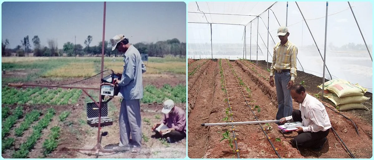 पिकातील सूर्यप्रकाशाची प्रत मोजणारी उपकरणे